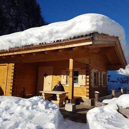 Chalet Sonnheim Lofer Luaran gambar